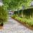vidaXL 103 cm/ 50 Lawn Edgings Garden Edging