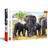 Trefl African Elephants