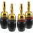 ClickTronic Premium Banana - SimpleLock Adapter M-F