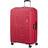American Tourister Ellipso Spinner 79cm - Rose/Pink Flash
