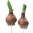 A Lot Decoration Flower Onion Stick Multicolor Dekoration 2st