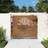 vidaXL 85 100 Garden Gate Fence Gate Fence