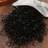 Shein 1000pcs Black Mini Disposable Elastic Hair Ties For Girls Aged 3-12, With 0.48 Inch Diameter, Suitable For Daily Ha