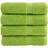 vidaXL Premium Bath Towel Green (100x50cm)