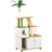 Pawhut 2-in-1 Cat Tree with Hidden Litter Box