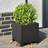 vidaXL Garden Planters 2 Pcs Black 30x30x30 cm