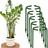 Shein 4pcs Garden Plant Support Stake Half Circle