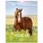 Burde Big Horse Wall Calendar 2025
