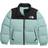 The North Face Kid's 1996 Retro Nuptse Jacket - Muted Pine (NF0A82TS-1OC)