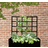 Gardenlife Gardenlife Espalier Højbed