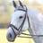 Shires Velociti GARA Comfort Fit Bridle Havana: Full Full