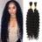 Shein Mongolian Kinky Curly Human Hair Bundles Pieces