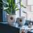 Ivyline Kew Leaf Embossed Cork Plant Pot Ivory ∅18cm