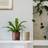 Ivyline Kew Reactive Glaze Plant Pot Ivory ∅18cm