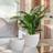 Ivyline Kew Botanical White Textured Plant Pot White