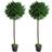 Leaf Pair Of 120 cm 4 Ft Stem Topiary Bay Laurel Ball Trees - Green Artificial Plant