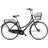 Batavus Cambridge Sierra Green