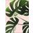 Daells Bolighus Monsteras Pink/Green Plakat 14.8x25cm