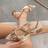 Shein Womens Floral Embroidered Decor Thick Heel Pointed Toe SlipOn High Heel PumpsElegant Brown Dress Pumps For DailyGatheringsHalloween PartyWorkCom