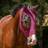 QHP Fluemaske Lycra /Pink /Pony