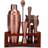 Premium Cocktail Shaker Bar Set 10pcs