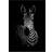 Daells Bolighus The Zebra Black/White Plakat 50x70cm