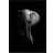 Daells Bolighus Elephant Black/Grey Plakat 30x40cm