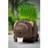 Diabolical Gifts Grow Your Own Hairy Beaver Plant - Multi - One Size