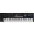 Roland Juno-D7 Synthesizer