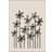 Poster & Frame Alisa Galitsyna A Field Of Flowers Multi Poster 50x70cm