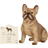 Something Different French Bulldog SD4772 Brown Figurine 11cm