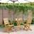 vidaXL 3 Piece Black Polypropylene and Solid Wood 60 x 75 cm Bistro Set, 1 Table incl. 2 Chairs