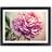 Marlow Home Co. Joyous Peony Flower Black Framed Art 34x46cm