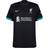 NIKE Kids' Liverpool FC 2024/25 Stadium Away Dri-Fit Soccer Replica Jersey