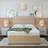 Bedmaster Super Ortho Orthopaedic Plush Velvet 2 Drawer Divan Set - Small Single