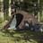 vidaXL Camping Tent Tunnel 3-Person Brown Waterproof