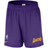 Nike Los Angeles Lakers Nike Men's NBA Mesh Shorts in Purple, FQ3393-504