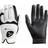 Hirzl Handschuh Hybrid Plus+ RH x2