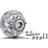 FAG Wheel Bearing Kit 713667370