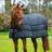 Horseware Rambo Optimo Liner Underdækken 200g