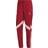 adidas Bayern Munich 2024/25 Rouge Track Pants