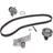 INA Water Pump & Timing Belt Set 530054630