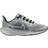 NIKE Pegasus 41 GS - Photon Dust/Ashen Slate/Black/Metallic Silver