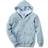 Carhartt SWEATSHIRT ZIP HOODED