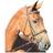 Waldhausen Combined Noseband Bridle Star Lifestyle - Noir