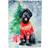 Caroline's Treasures Giant Schnauzer Christmas Garden Flag 71.1x101.6cm