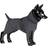 Paikka Visibility Dog ​​Coat 50cm