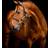 Horseware Signature lädergrimma