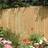 Rowlinson Closeboard Fence Panel - Brown (183 cm H x 91.5 cm W x 4.4 cm D)
