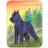 Carolines Treasures Schnauzer Large Chopping Board 12cm